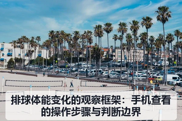 排球体能变化的观察框架:手机查看的操作步骤与判断边界